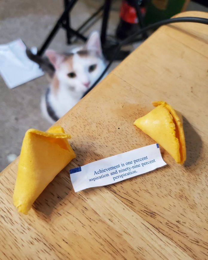 Bubbles eying up fortune cookie
