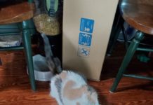 Camping Chronicles: Bubbles’ Food Expedition S1E12 Bubbles eating before we leave