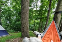 Camping Chronicles: Jerry’s Thunderous Retreat S1E13 Jerry in hammock