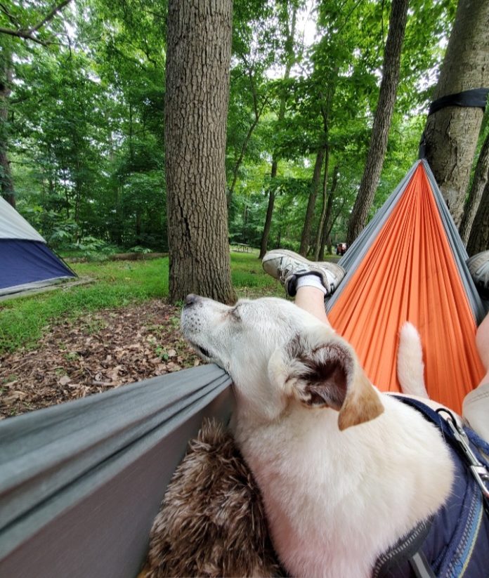 Jerry in hammock